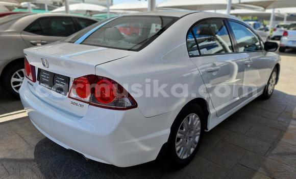 Buy Used Honda Civic White Car in Beitbridge in Matabeleland South Buy Used Honda Civic White Car in Beitbridge in Matabeleland South