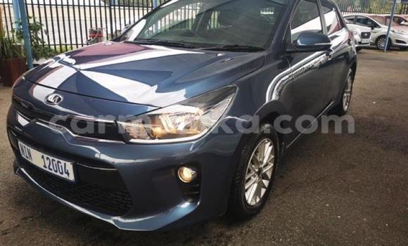 Tenga Tsaru Kia Rio Zvimwe Mota in Beitbridge in Matabeleland South