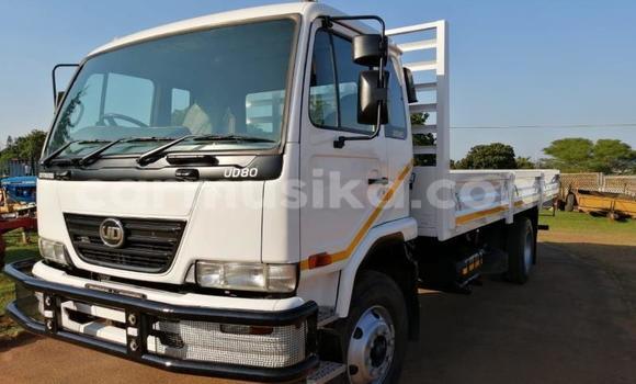 Buy Used Nissan UD White Truck in Beitbridge in Matabeleland South