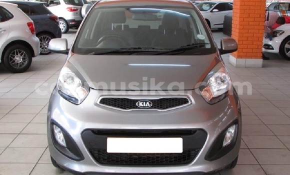 Buy Used Kia Picanto Beige Car in Beitbridge in Matabeleland South