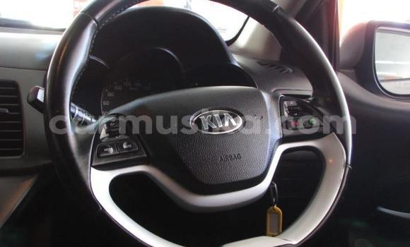 Nunua Ilio tumika Kia Picanto Beige Gari ndani ya Beitbridge nchini Matabeleland Kusini Nunua Ilio tumika Kia Picanto Beige Gari ndani ya Beitbridge nchini Matabeleland Kusini