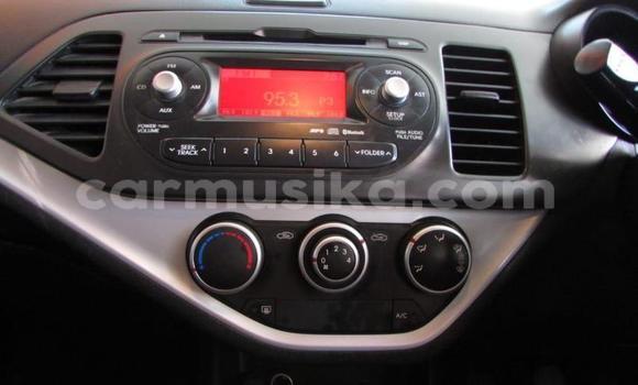 Nunua Ilio tumika Kia Picanto Beige Gari ndani ya Beitbridge nchini Matabeleland Kusini Nunua Ilio tumika Kia Picanto Beige Gari ndani ya Beitbridge nchini Matabeleland Kusini