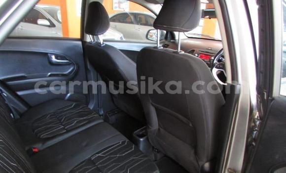 Nunua Ilio tumika Kia Picanto Beige Gari ndani ya Beitbridge nchini Matabeleland Kusini Nunua Ilio tumika Kia Picanto Beige Gari ndani ya Beitbridge nchini Matabeleland Kusini