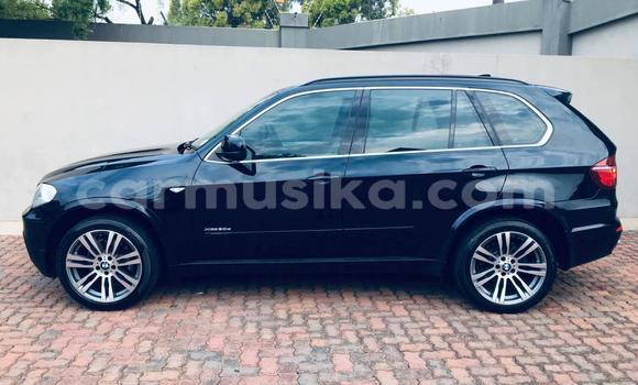 Buy Used BMW X5 White Car in Beitbridge in Matabeleland South Buy Used BMW X5 White Car in Beitbridge in Matabeleland South