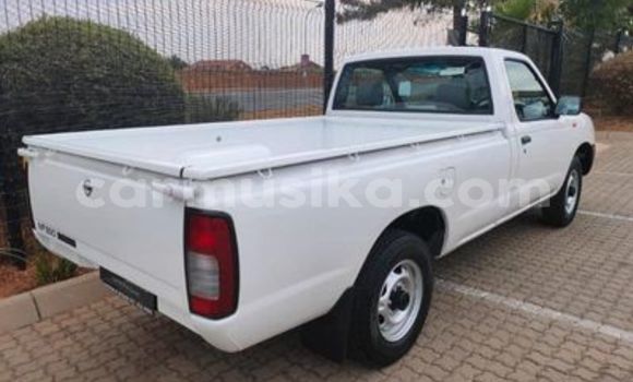 Tenga Tsaru Nissan NP 300 Chena Mota in Beitbridge in Matabeleland South