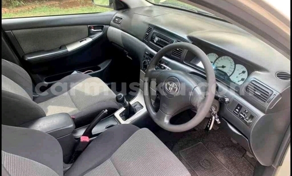 Acheter Occasion Voiture Toyota Runx Autre à Beitbridge, Matabeleland South Acheter Occasion Voiture Toyota Runx Autre à Beitbridge, Matabeleland South