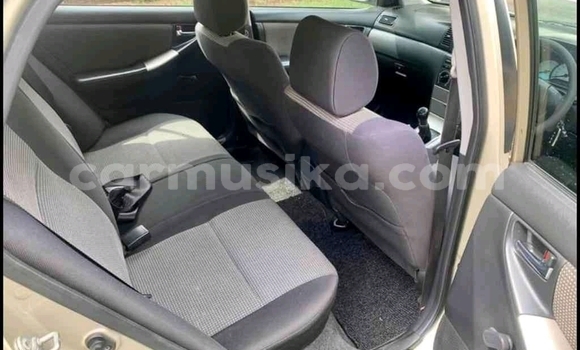 Acheter Occasion Voiture Toyota Runx Autre à Beitbridge, Matabeleland South Acheter Occasion Voiture Toyota Runx Autre à Beitbridge, Matabeleland South