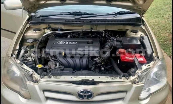 Acheter Occasion Voiture Toyota Runx Autre à Beitbridge, Matabeleland South Acheter Occasion Voiture Toyota Runx Autre à Beitbridge, Matabeleland South