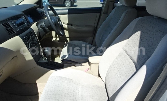 Tenga Tsaru Toyota Runx Zvimwe Mota in Beitbridge in Matabeleland South Tenga Tsaru Toyota Runx Zvimwe Mota in Beitbridge in Matabeleland South