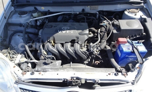 Tenga Tsaru Toyota Runx Zvimwe Mota in Beitbridge in Matabeleland South Tenga Tsaru Toyota Runx Zvimwe Mota in Beitbridge in Matabeleland South