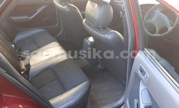 Acheter Occasion Voiture Toyota Camry Rouge à Beitbridge, Matabeleland South Acheter Occasion Voiture Toyota Camry Rouge à Beitbridge, Matabeleland South