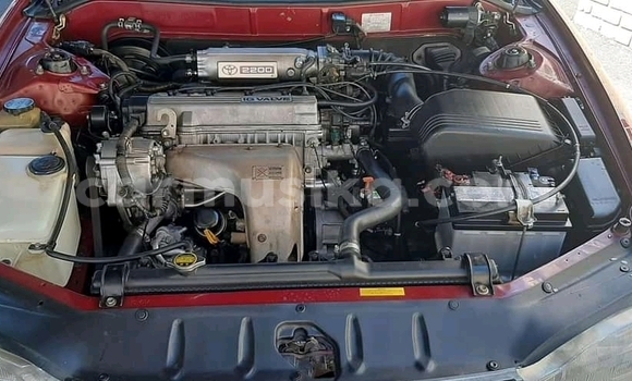 Acheter Occasion Voiture Toyota Camry Rouge à Beitbridge, Matabeleland South Acheter Occasion Voiture Toyota Camry Rouge à Beitbridge, Matabeleland South