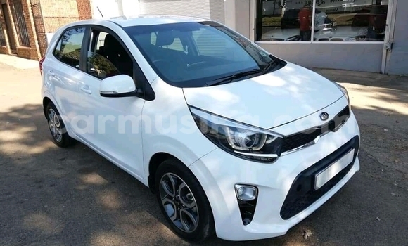 Buy Used Kia Picanto White Car in Beitbridge in Matabeleland South