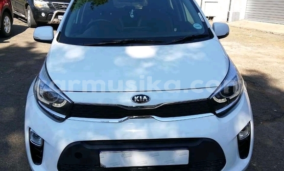 Acheter Occasion Voiture Kia Picanto Blanc à Beitbridge, Matabeleland South Acheter Occasion Voiture Kia Picanto Blanc à Beitbridge, Matabeleland South