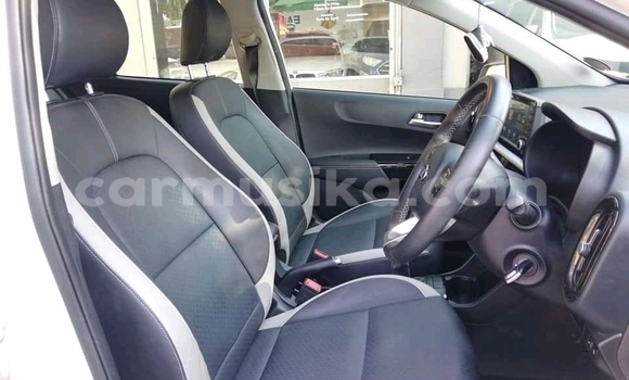 Acheter Occasion Voiture Kia Picanto Blanc à Beitbridge, Matabeleland South Acheter Occasion Voiture Kia Picanto Blanc à Beitbridge, Matabeleland South