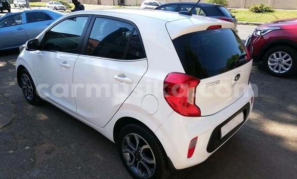 Acheter Occasion Voiture Kia Picanto Blanc à Beitbridge, Matabeleland South Acheter Occasion Voiture Kia Picanto Blanc à Beitbridge, Matabeleland South