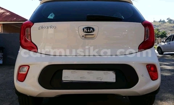 Acheter Occasion Voiture Kia Picanto Blanc à Beitbridge, Matabeleland South Acheter Occasion Voiture Kia Picanto Blanc à Beitbridge, Matabeleland South