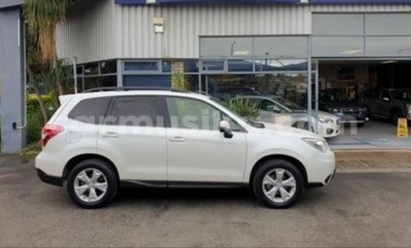 Nunua Ilio tumika Subaru Forester Nyeupe Gari ndani ya Beitbridge nchini Matabeleland Kusini