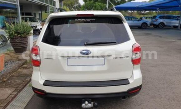 Acheter Occasion Voiture Subaru Forester Blanc à Beitbridge, Matabeleland South Acheter Occasion Voiture Subaru Forester Blanc à Beitbridge, Matabeleland South