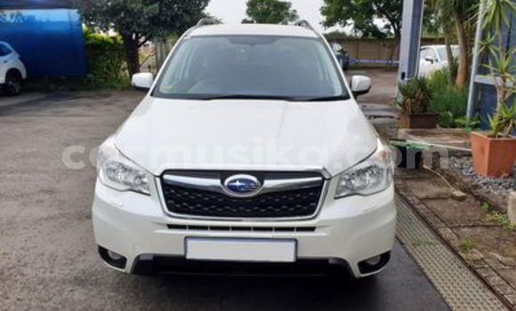 Acheter Occasion Voiture Subaru Forester Blanc à Beitbridge, Matabeleland South Acheter Occasion Voiture Subaru Forester Blanc à Beitbridge, Matabeleland South