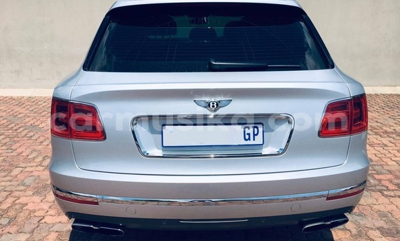Tenga Tsaru Bentley Continental GT Sirivha Mota in Beitbridge in Matabeleland South Tenga Tsaru Bentley Continental GT Sirivha Mota in Beitbridge in Matabeleland South