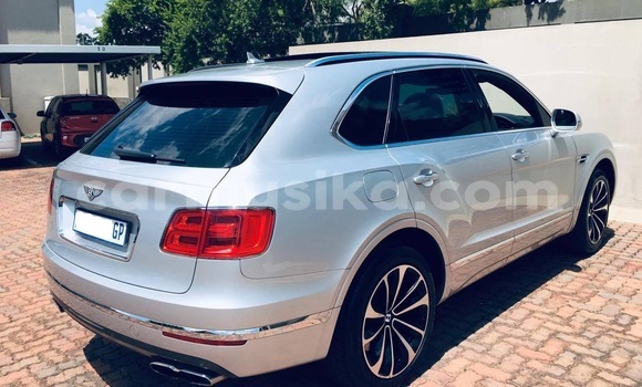 Tenga Tsaru Bentley Continental GT Sirivha Mota in Beitbridge in Matabeleland South Tenga Tsaru Bentley Continental GT Sirivha Mota in Beitbridge in Matabeleland South