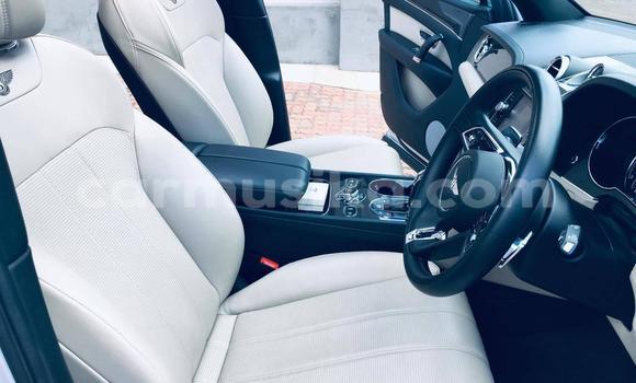 Tenga Tsaru Bentley Continental GT Sirivha Mota in Beitbridge in Matabeleland South Tenga Tsaru Bentley Continental GT Sirivha Mota in Beitbridge in Matabeleland South