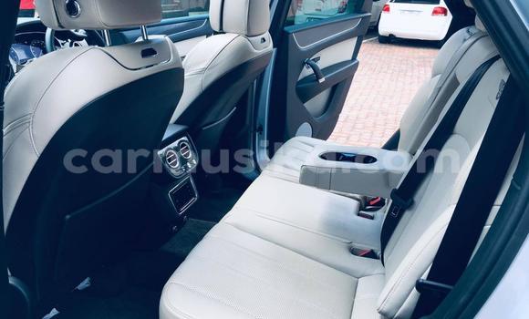 Tenga Tsaru Bentley Continental GT Sirivha Mota in Beitbridge in Matabeleland South Tenga Tsaru Bentley Continental GT Sirivha Mota in Beitbridge in Matabeleland South