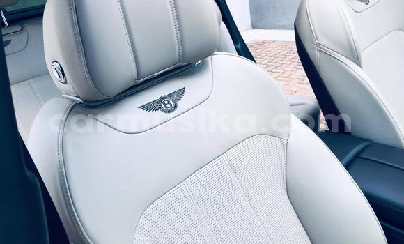 Tenga Tsaru Bentley Continental GT Sirivha Mota in Beitbridge in Matabeleland South Tenga Tsaru Bentley Continental GT Sirivha Mota in Beitbridge in Matabeleland South