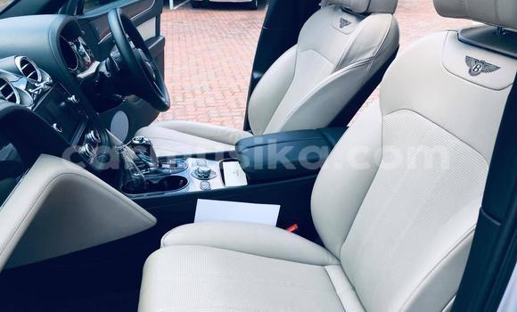 Tenga Tsaru Bentley Continental GT Sirivha Mota in Beitbridge in Matabeleland South Tenga Tsaru Bentley Continental GT Sirivha Mota in Beitbridge in Matabeleland South