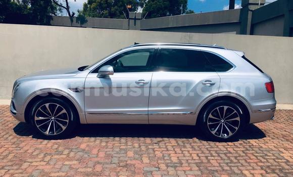 Tenga Tsaru Bentley Continental GT Sirivha Mota in Beitbridge in Matabeleland South Tenga Tsaru Bentley Continental GT Sirivha Mota in Beitbridge in Matabeleland South