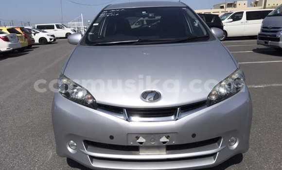 Nunua Ilio tumika Toyota Wish Fedha Gari ndani ya Beitbridge nchini Matabeleland Kusini