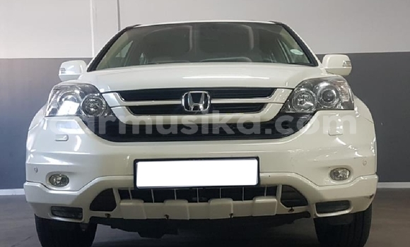 Buy Used Honda CR–V White Car in Beitbridge in Matabeleland South