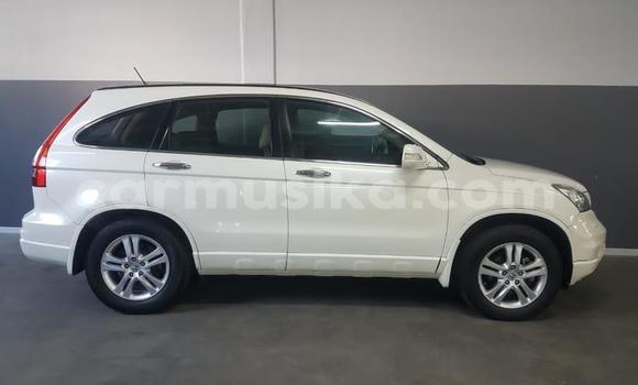 Acheter Occasion Voiture Honda CR–V Blanc à Beitbridge, Matabeleland South Acheter Occasion Voiture Honda CR–V Blanc à Beitbridge, Matabeleland South