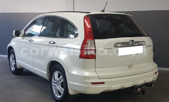 Acheter Occasion Voiture Honda CR–V Blanc à Beitbridge, Matabeleland South Acheter Occasion Voiture Honda CR–V Blanc à Beitbridge, Matabeleland South