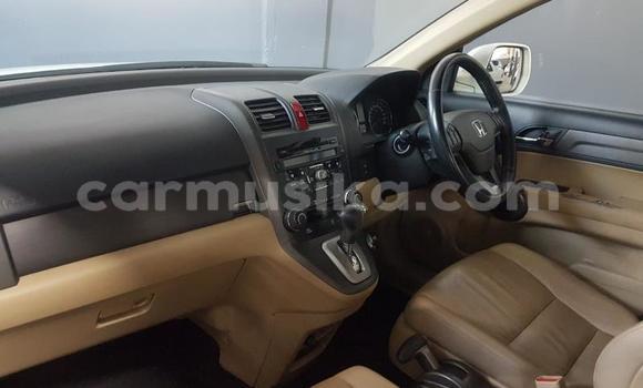 Acheter Occasion Voiture Honda CR–V Blanc à Beitbridge, Matabeleland South Acheter Occasion Voiture Honda CR–V Blanc à Beitbridge, Matabeleland South