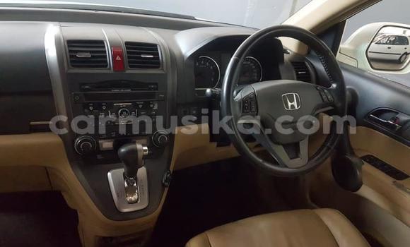 Acheter Occasion Voiture Honda CR–V Blanc à Beitbridge, Matabeleland South Acheter Occasion Voiture Honda CR–V Blanc à Beitbridge, Matabeleland South