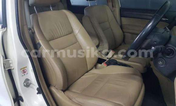 Acheter Occasion Voiture Honda CR–V Blanc à Beitbridge, Matabeleland South Acheter Occasion Voiture Honda CR–V Blanc à Beitbridge, Matabeleland South