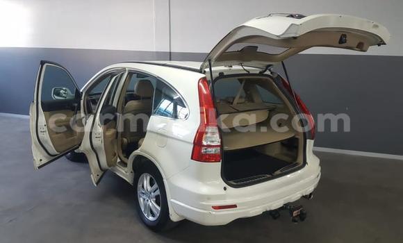 Acheter Occasion Voiture Honda CR–V Blanc à Beitbridge, Matabeleland South Acheter Occasion Voiture Honda CR–V Blanc à Beitbridge, Matabeleland South