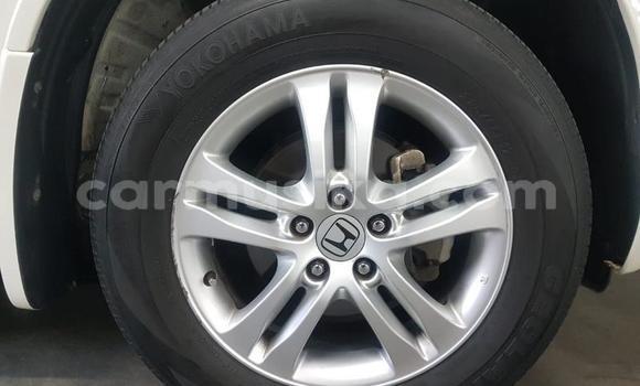 Acheter Occasion Voiture Honda CR–V Blanc à Beitbridge, Matabeleland South Acheter Occasion Voiture Honda CR–V Blanc à Beitbridge, Matabeleland South