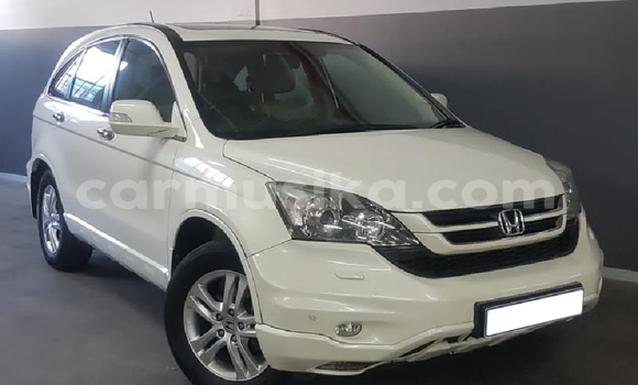 Acheter Occasion Voiture Honda CR–V Blanc à Beitbridge, Matabeleland South Acheter Occasion Voiture Honda CR–V Blanc à Beitbridge, Matabeleland South