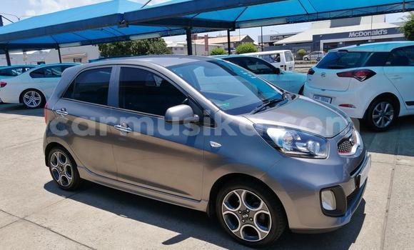Buy Used Kia Picanto Beige Car in Beitbridge in Matabeleland South