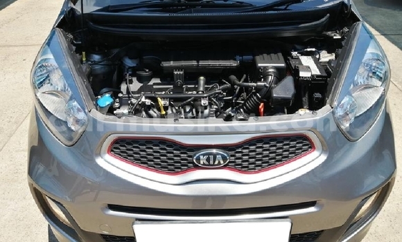 Tenga Tsaru Kia Picanto Beige Mota in Beitbridge in Matabeleland South Tenga Tsaru Kia Picanto Beige Mota in Beitbridge in Matabeleland South