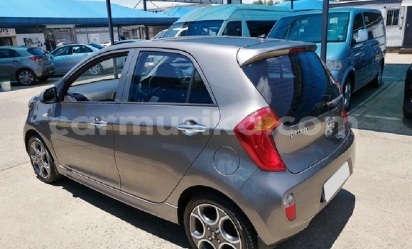 Tenga Tsaru Kia Picanto Beige Mota in Beitbridge in Matabeleland South Tenga Tsaru Kia Picanto Beige Mota in Beitbridge in Matabeleland South