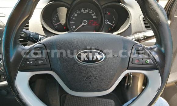 Tenga Tsaru Kia Picanto Beige Mota in Beitbridge in Matabeleland South Tenga Tsaru Kia Picanto Beige Mota in Beitbridge in Matabeleland South