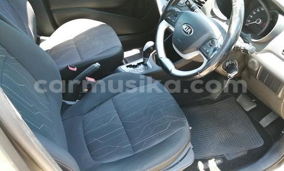 Tenga Tsaru Kia Picanto Beige Mota in Beitbridge in Matabeleland South Tenga Tsaru Kia Picanto Beige Mota in Beitbridge in Matabeleland South