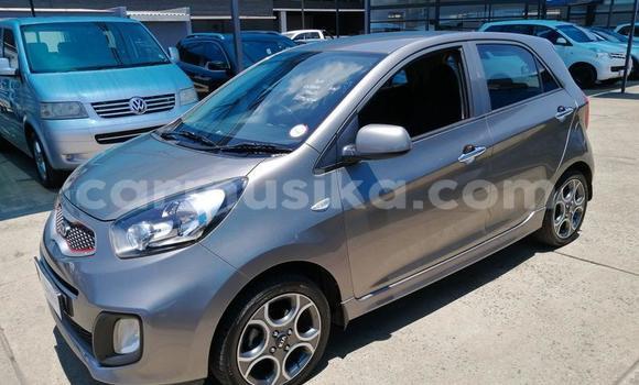 Tenga Tsaru Kia Picanto Beige Mota in Beitbridge in Matabeleland South Tenga Tsaru Kia Picanto Beige Mota in Beitbridge in Matabeleland South