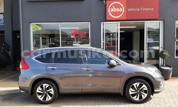 Nunua Ilio tumika Honda CR–V Beige Gari ndani ya Beitbridge nchini Matabeleland Kusini Nunua Ilio tumika Honda CR–V Beige Gari ndani ya Beitbridge nchini Matabeleland Kusini