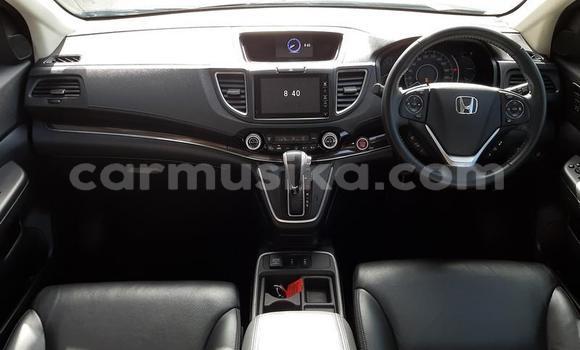 Nunua Ilio tumika Honda CR–V Beige Gari ndani ya Beitbridge nchini Matabeleland Kusini Nunua Ilio tumika Honda CR–V Beige Gari ndani ya Beitbridge nchini Matabeleland Kusini