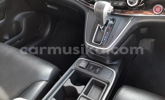 Nunua Ilio tumika Honda CR–V Beige Gari ndani ya Beitbridge nchini Matabeleland Kusini Nunua Ilio tumika Honda CR–V Beige Gari ndani ya Beitbridge nchini Matabeleland Kusini